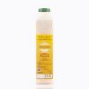 Frizzy-Color Citrom-bodza ízesítő és színező koncentrátum 1 kg